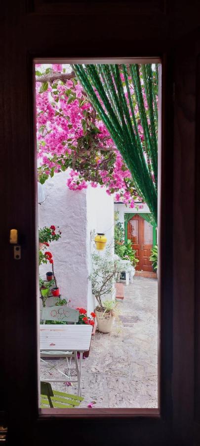 La Buganvilla De Juana Y Antonio カサーレス エクステリア 写真